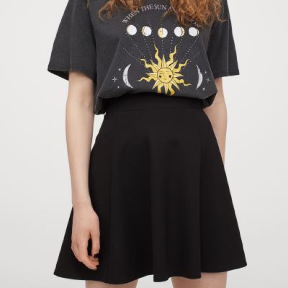 H&M Skater Skirt